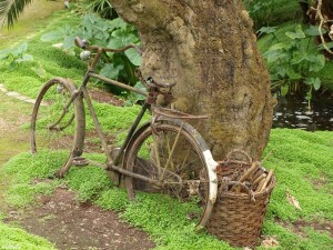fiets/bicycle